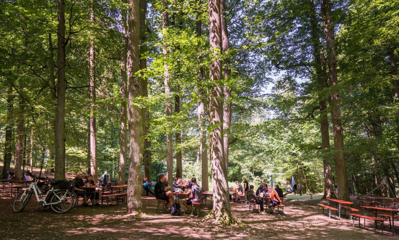 Brauereigasthof Zum Loewenbraeu アーデルスドルフ エクステリア 写真